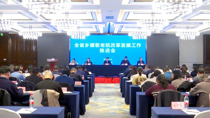 全省乡镇敬老院改革发展工作推进会在我市召开